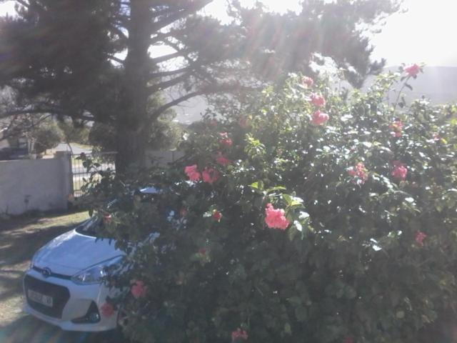 הרמנוס Self Catering Unit 7, Sandbaai מראה חיצוני תמונה