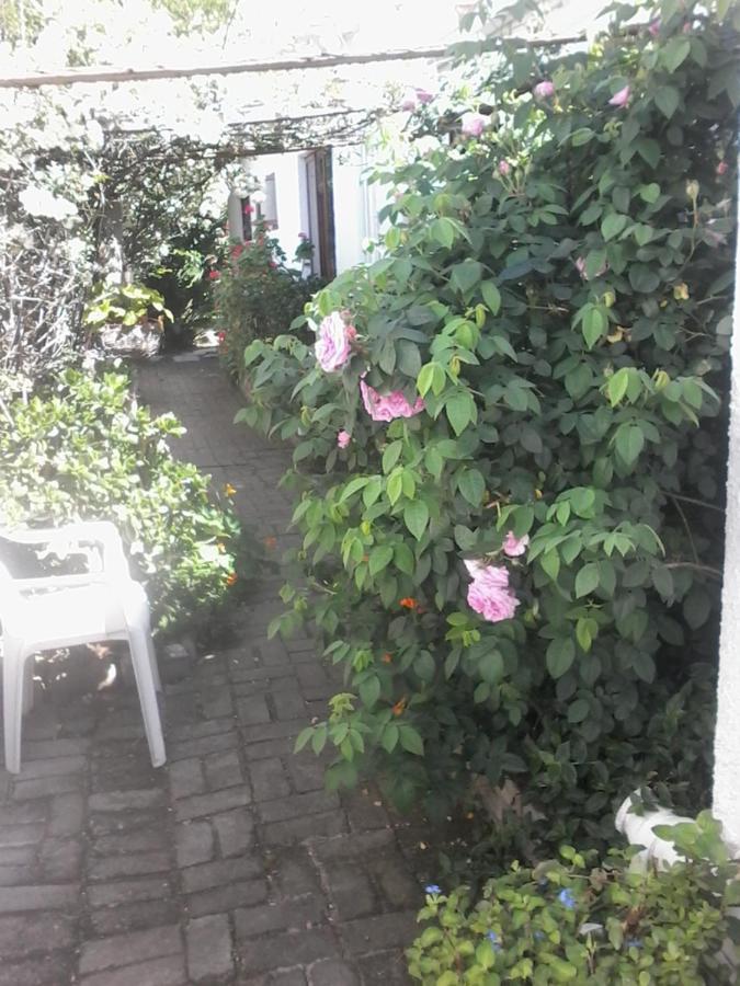 הרמנוס Self Catering Unit 7, Sandbaai מראה חיצוני תמונה