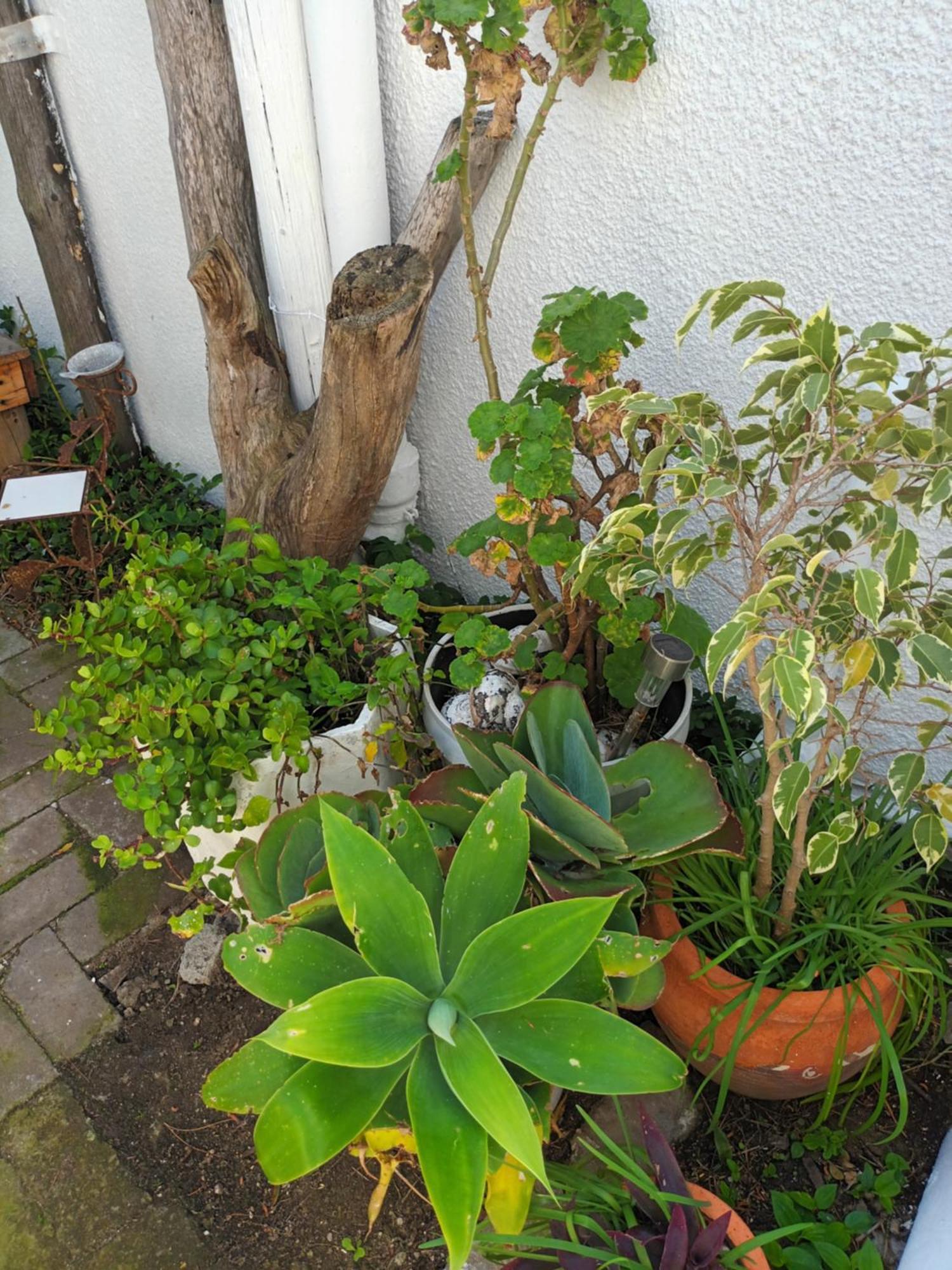 הרמנוס Self Catering Unit 7, Sandbaai חדר תמונה